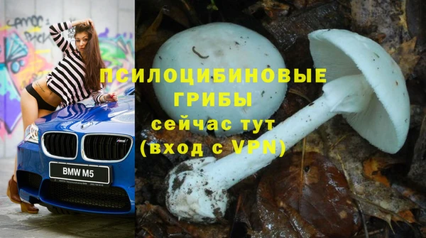 кокс Нея