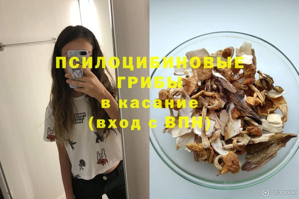 кокс Нея